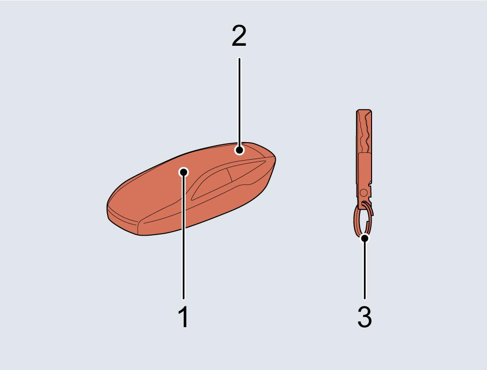 Diagram showing: Door lock/unlock button