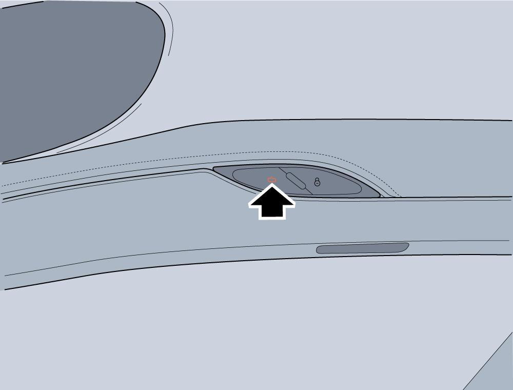 Illustration: Manual Door Opening